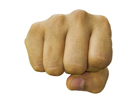 fist png